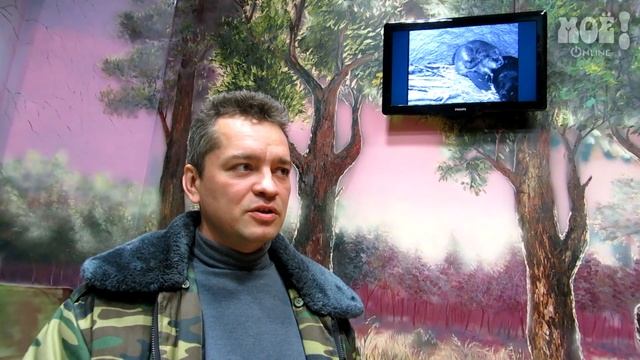 Бобры в Воронежском заповеднике смотреть онлайн