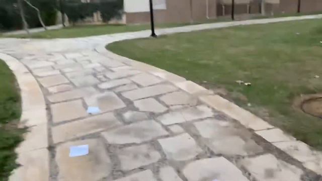 Каир Адские Собаки Ужас Че смотреть онлайн