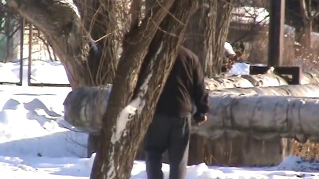 Очередная попытка Сергей Иваныча не увенчалась успехом. 21.1.2017 смотреть онлайн
