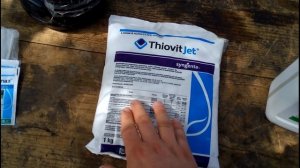 Ранняя профилактическая обработка виноградника от оидиума и паутинного клеща