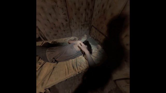 RE7 Steam PICO4 MOD PRAYDOG