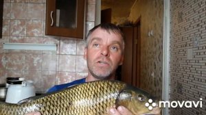 Рыбалка с рогаткой на сазана