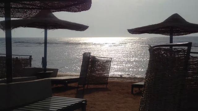 Утро, чайки на красном море Шарм-Эль-Шейх смотреть онлайн
