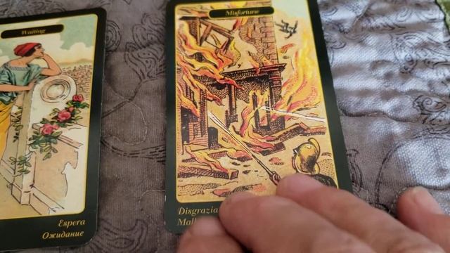 Sibella Three Cards Draw for Today смотреть онлайн