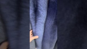 Мощный ассортимент цветов 🍎🍏🍑 🍋🥭 натуральный мех финского песца премиум качества Saga Royal