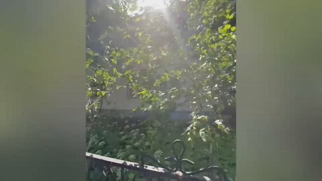 Продаётся коммерческая недвижимость АЛЬМЕТЬЕВСК смотреть онлайн