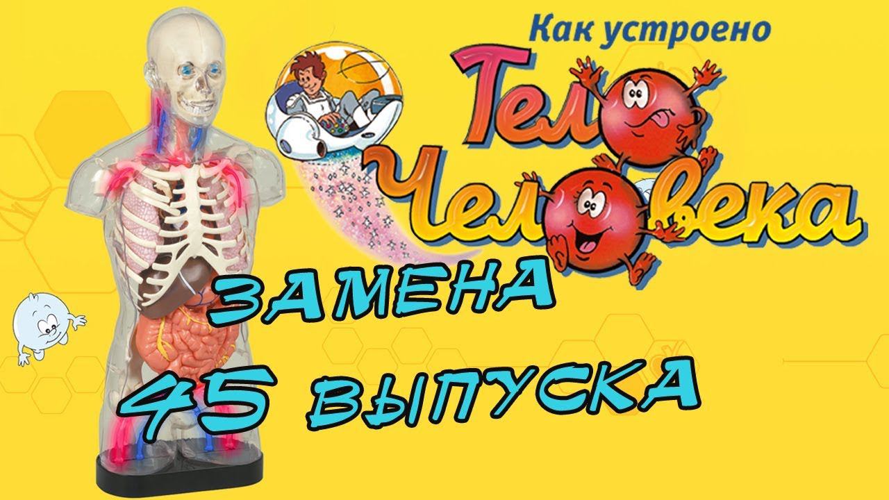 Как устроено тело человека | DeAgostini | Замена 45 выпуска смотреть онлайн