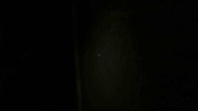 Outlast: Whistleblower #2 - Онанист
