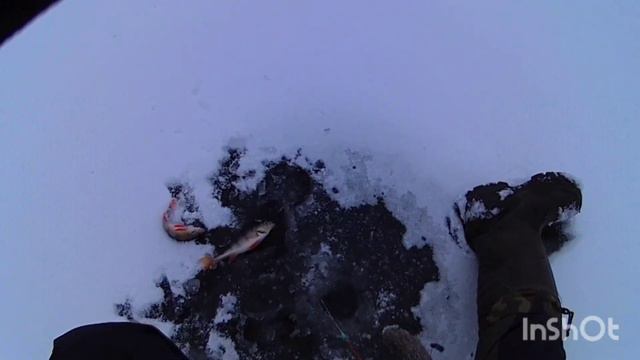 Первый лёд река Вязьма смотреть онлайн