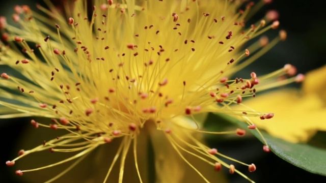 При ревматизме и ушибах необходимо: ( 4 ) Что делать при ревматизме и ушибах. Как лечить ревматизм. смотреть онлайн