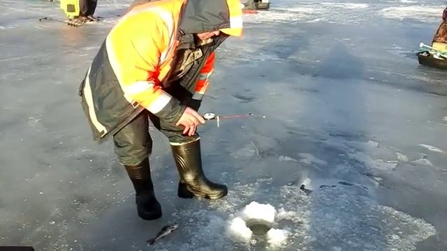 ладога дубно зимняя рыбалка смотреть онлайн