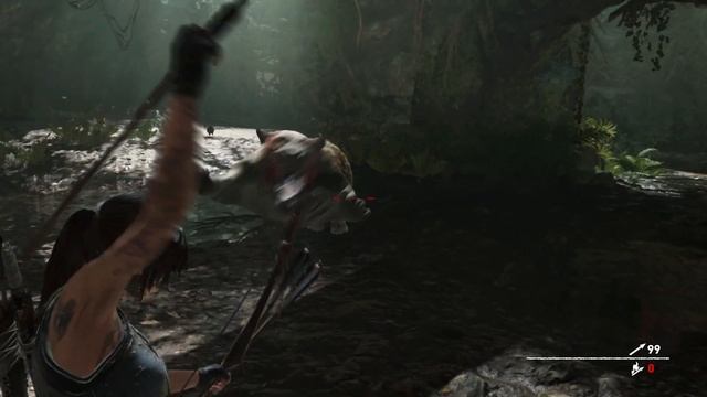 Бой с тиграми смотреть онлайн