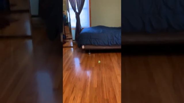 Duck flipping смотреть онлайн