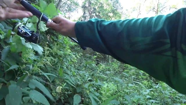 Рыбалка в диких и красивых местах смотреть онлайн