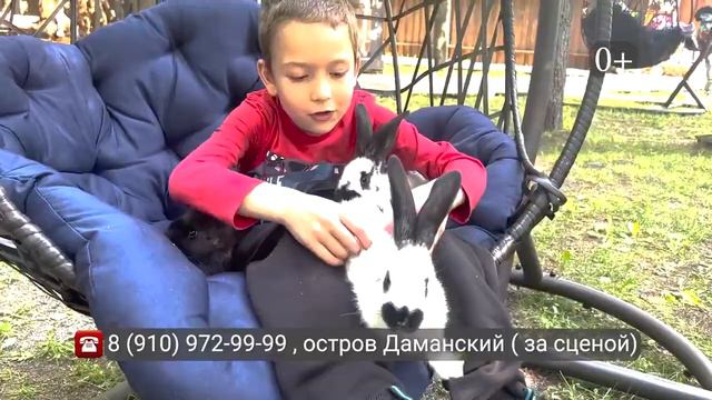 Парк Кроликов на Даманском (Зайцепарк) Ярославль смотреть онлайн