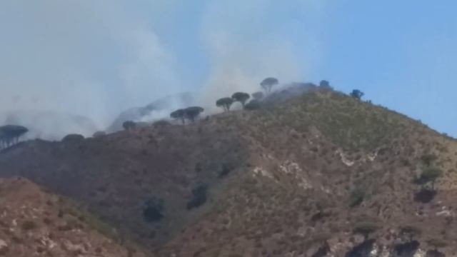 L'Incendio che ha distrutto le colline di Messina. Cittadella Universitaria Annunziata Giostra смотреть онлайн