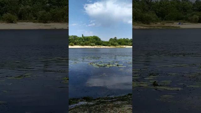 Рыбалка на реке Сож 🐟 смотреть онлайн