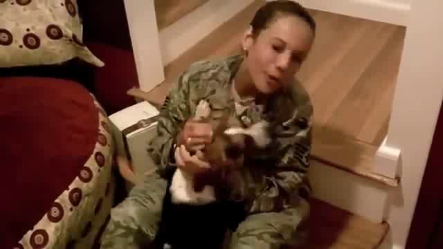У пса истерика смотреть онлайн