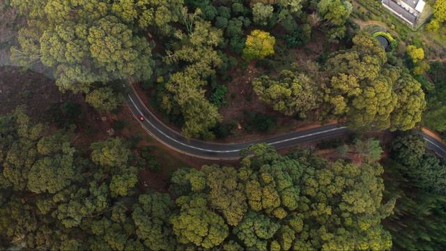 ПОЧЕМУ ПРИРОДА ТАК ПОЛЕЗНА ДЛЯ ЧЕЛОВЕКА | Почему нужно проводить больше времени на природе смотреть онлайн