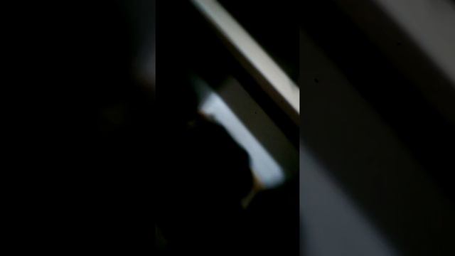 наш дом и нет звука потому что он сломался и не записывает звук смотреть онлайн