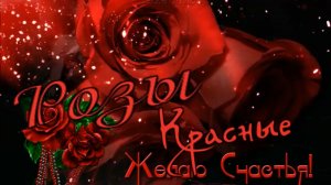 Сергей Сухачёв - Розы красные.mp4