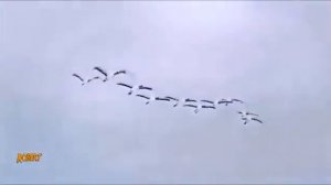 А годы летят и уходят мгновения в прошлое! Задушевная песня!