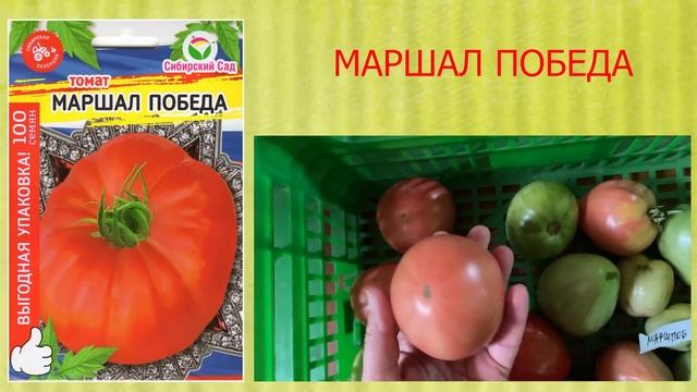 Вспомним красоту сортовых томатов часть1   Минская область Беларусь