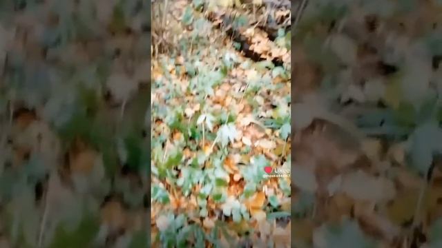 ВООБРАЖАЛОВО - эпизод 4 смотреть онлайн