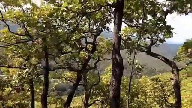 Апшеронск Травалев Белая Круча и гора Полба смотреть онлайн