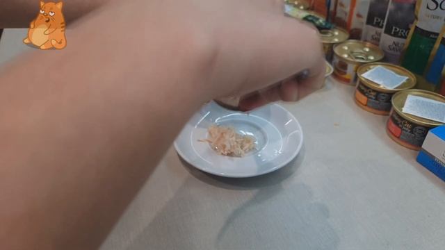 Обзор и Дегустация Влажного Корма для Котов VIBRISSE. АСМР КОТ АЛЬФ звуки еды и чавканье смотреть онлайн