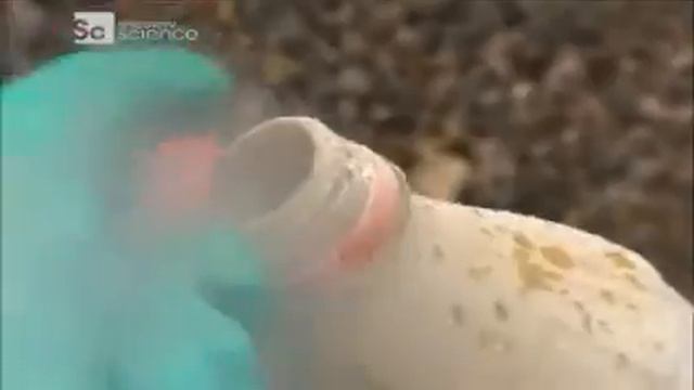 Головолмы/Brainiac: Быстрое приготовление салата смотреть онлайн