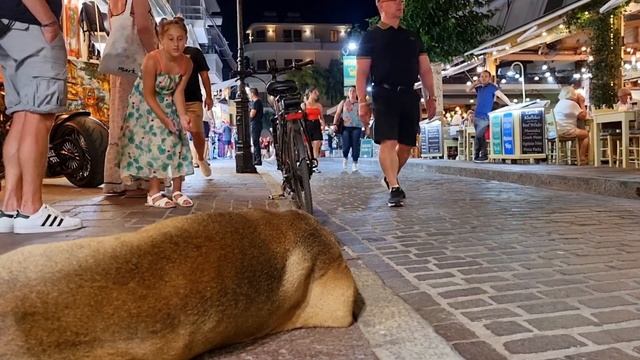 ТАНЦУЮТ ВСЕ Критские ТАНЦЫ МУЗЫКА Ретимно 2022 Сretan dances music Rethymno смотреть онлайн