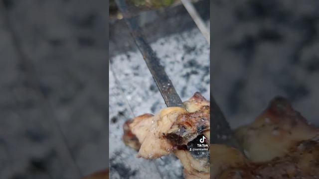 Медленное идеальное приготовление шашлыка (курица), определение готовности на примере курицы! смотреть онлайн