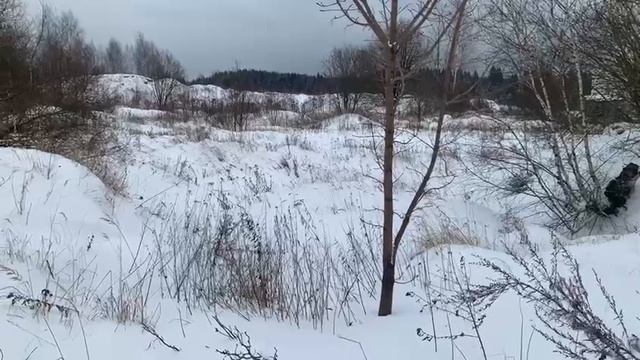 Видео 1568 смотреть онлайн