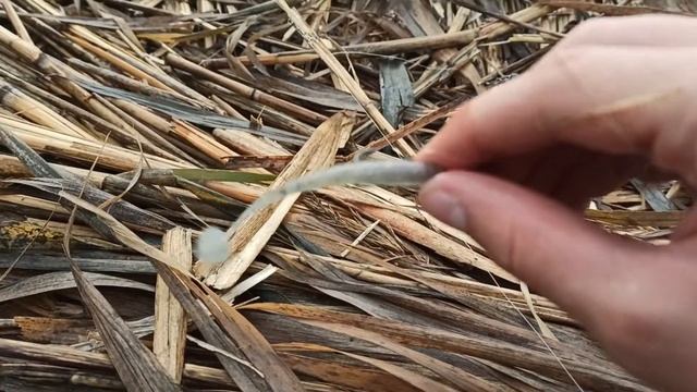 Рыбалка осенью после дождя\ Рыбалка на ДЖИГ на р . Бейсужёк. смотреть онлайн