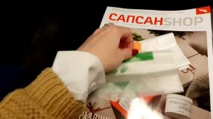 Сапсан. Вагон эконом-класс. Петербург-Москва