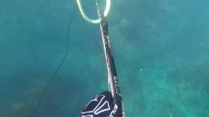 Осенняя кефаль.  Подводная охота в Крыму.