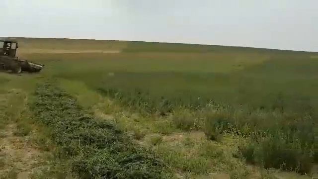 немка георгевка Ааа смотреть онлайн