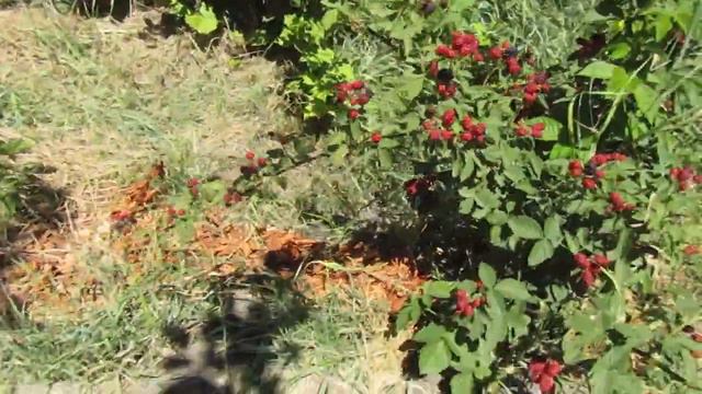 небеса могут подождать смотреть онлайн