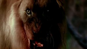 ЛЬВЫ ЛЮДОЕДЫ