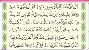 Шейх Айман Сувейд сура Ан Намль стр 380