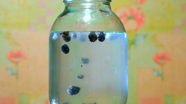 Изюм живет своей жизнью смотреть онлайн