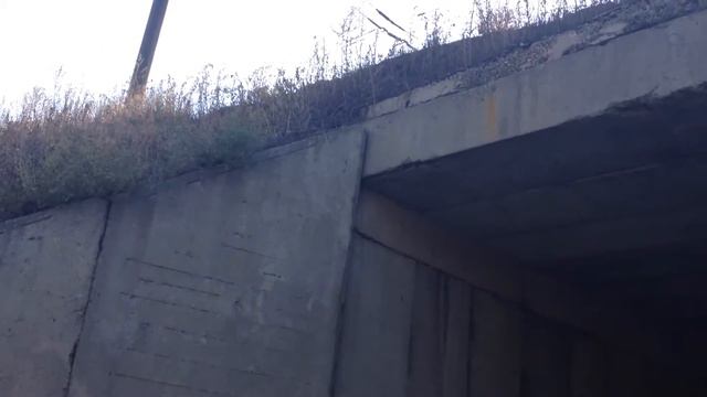 Дорога Васильевка-ТОАЗ смотреть онлайн