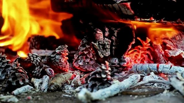 ДЕРЕВНЯ В ЛЕСУ. Страшные истории про деревню. Истории про лес. Деревня. Истории на ночь. Аудиокнига смотреть онлайн