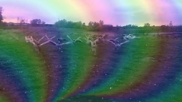 гуси. смотреть онлайн