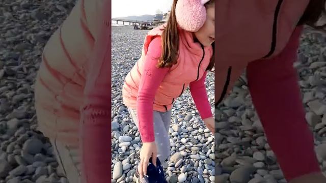 Поиски ракушек на берегу Чёрного моря???