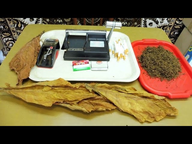 Табаководство для начинающих,мои ошибки и достижения. смотреть онлайн