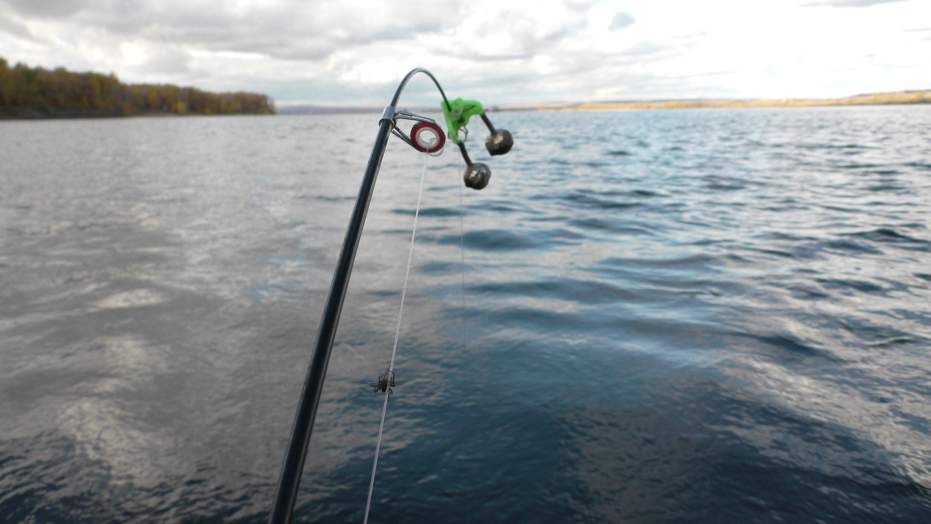 Безумная Рыбалка осенью. Эти Рыбины рвут поводки. Мощные поклёвки Голавля и Язя смотреть онлайн
