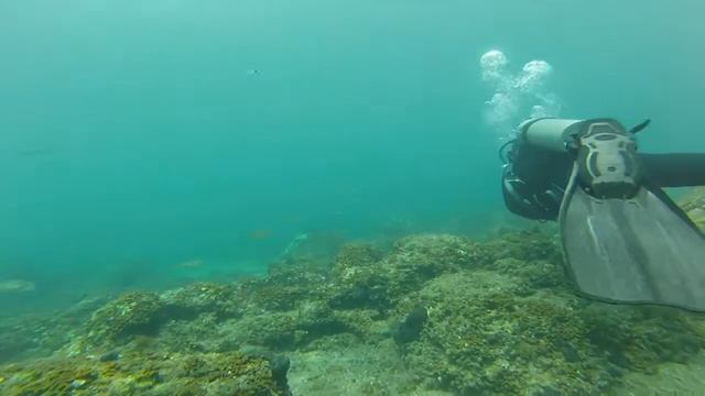 Barbati, Corfu смотреть онлайн