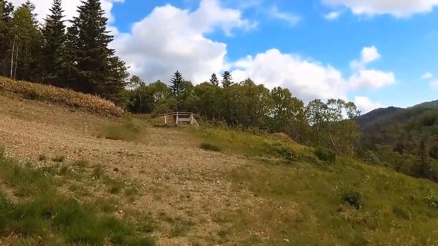 30 минутная прогулка по лесной тропинке со звуками природы pJv37Q PmCI смотреть онлайн